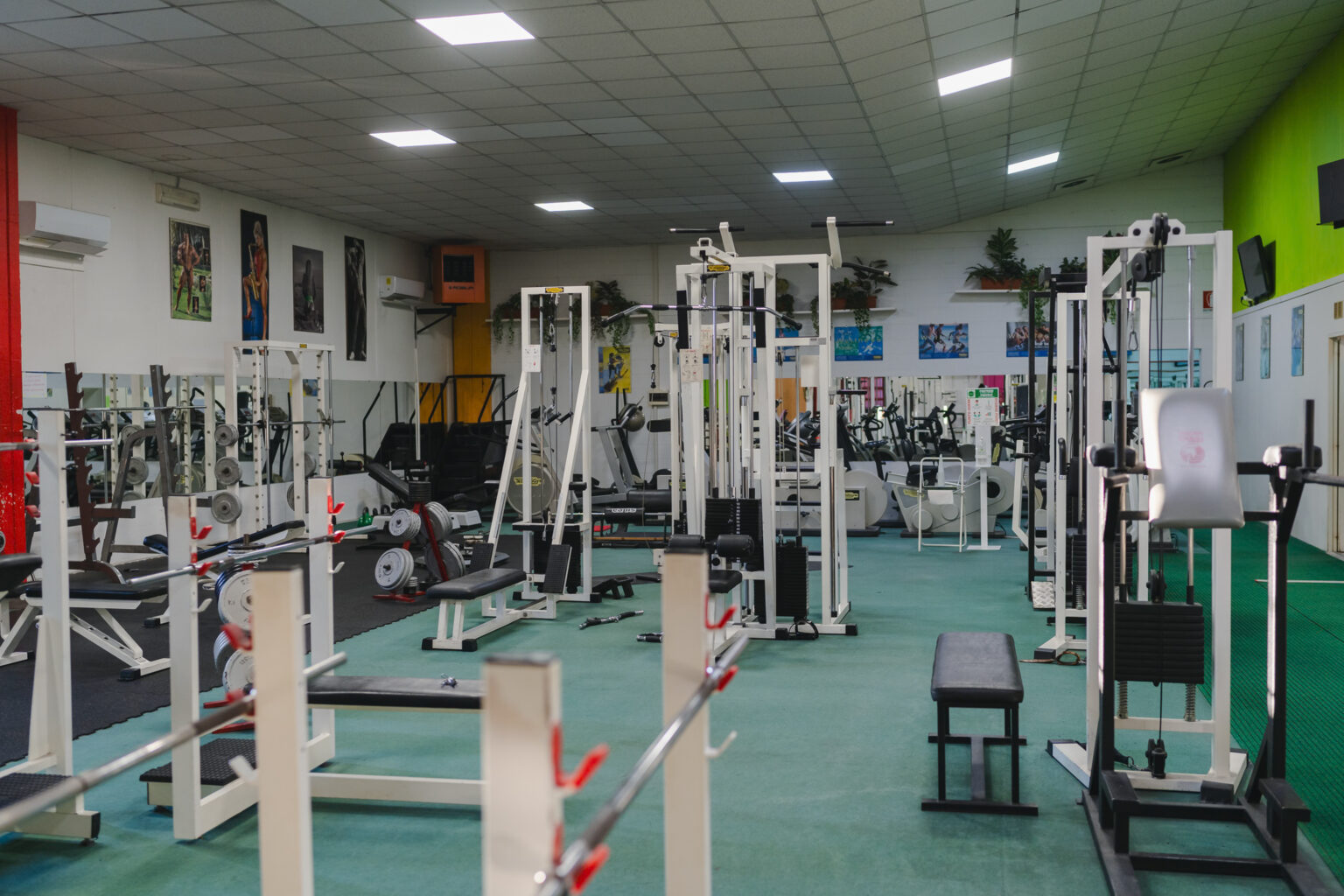 Olimpic_BQ-08406