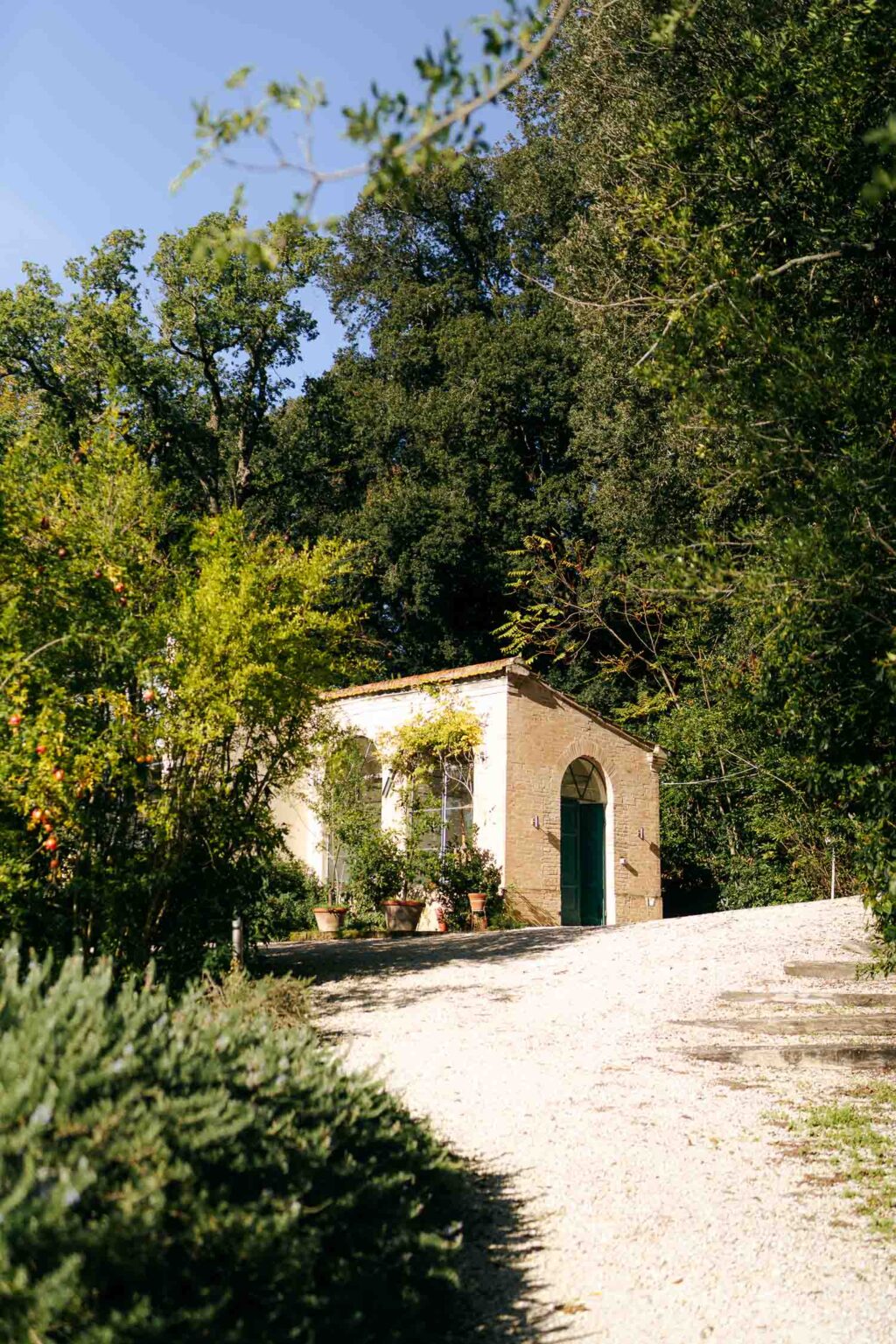 Matrimoni-2-IRE03594